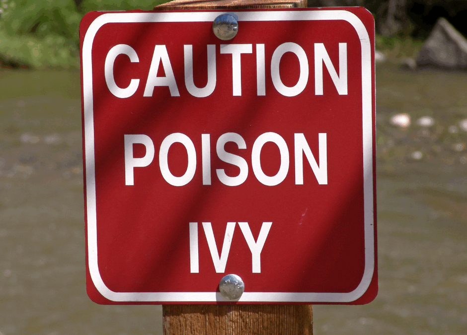 What to Do When You Come in Contact with Poison Ivy